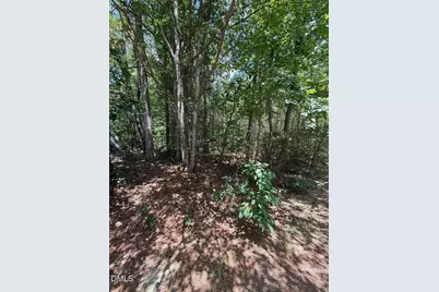 7801 Grand Lillie Drive, Durham, NC 27712 - Photo 1