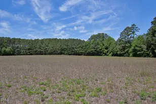 1 G F Ball Rd, Louisburg, NC 27549 - Photo 1