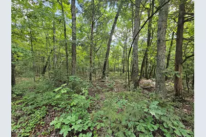 625 Harts Creek Drive, Pittsboro, NC 27312 - Photo 1