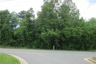 Lot #2 S N Hwy 119 Rd, Mebane, NC 27302 - Photo 1