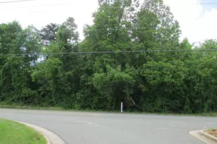 Lot # 2 S Nc 119 Hwy, Mebane, NC 27302 - Photo 1