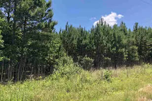 0 Mt Zion Church Rd, Apex, NC 27502 - Photo 1