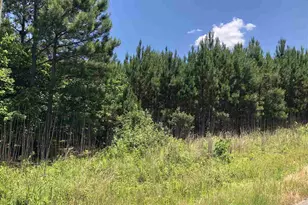 0-0 Mt Zion Church Rd, Apex, NC 27502 - Photo 1