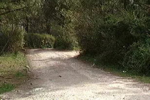 1252 Minna Rd, Wake Forest, NC 27587 - Photo 1