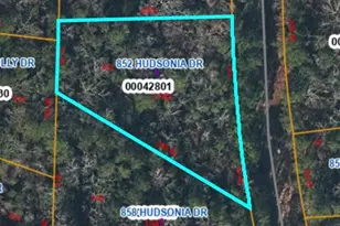 852 Hudsonia Dr, Vass, NC 28394 - Photo 1
