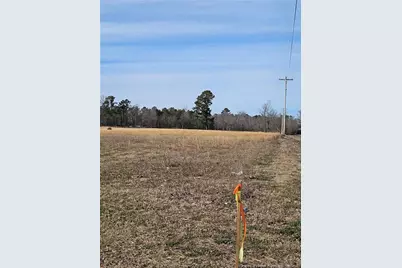 Lot 1 Odum Road, Lumberton, NC 28358 - Photo 1