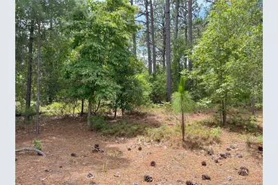 Tbd Sandy Branch Lane, Aberdeen, NC 28315 - Photo 1