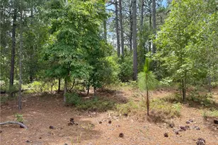 Tbd Sandy Branch Ln, Aberdeen, NC 28315 - Photo 1