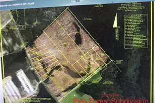 Lot B Mitchell Rd, Fairmont, NC 28340 - Photo 1