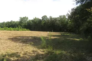 Lot E Survey Dr, Fairmont, NC 28340 - Photo 1