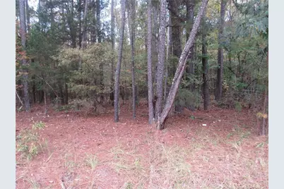 914 Taylors Chapel Road, Sanford, NC 27330 - Photo 1