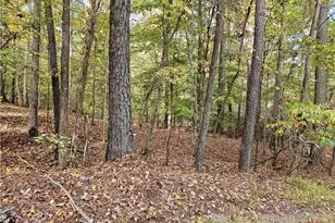 0 Sandy Creek Church Road, Sanford, NC 27330 - Photo 1