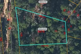 Tbd Wild Cherry Dr, Vass, NC 28394 - Photo 1