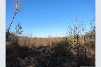 0 Melvin Lane, Sanford, NC 27330 - Photo 1