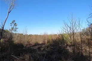 0 Melvin Ln, Sanford, NC 27330 - Photo 1