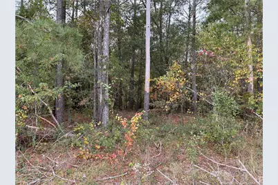 Lot 1 Midway Road, Maxton, NC 28364 - Photo 1