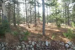 317 Lakeview Dr, Fayetteville, NC 28311 - Photo 1