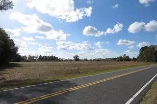 Lot 3 Iona Church Rd, Fairmont, NC 28340 - Photo 1