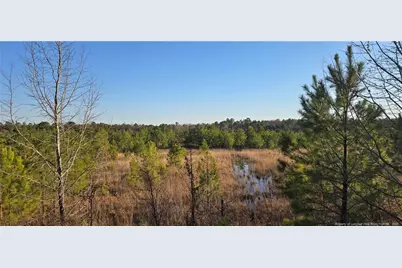03 Josey Williams Road, Erwin, NC 28339 - Photo 1