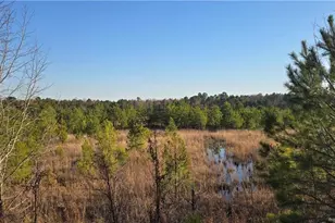 03 Josey Williams Rd, Erwin, NC 28339 - Photo 1