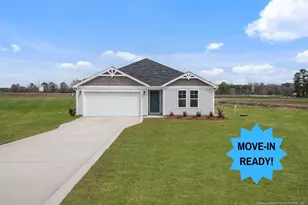 96 Buggy Top (Lot 27) Ln, Autryville, NC 28318 - Photo 1