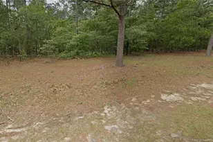 29 Peach Orchard Rd, Wagram, NC 28396 - Photo 1