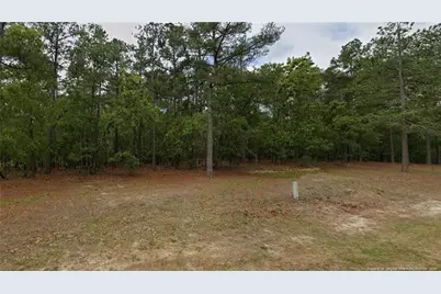 30 Peach Orchard Road, Wagram, NC 28396 - Photo 1