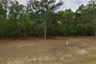 30 Peach Orchard Rd, Wagram, NC 28396 - Photo 1