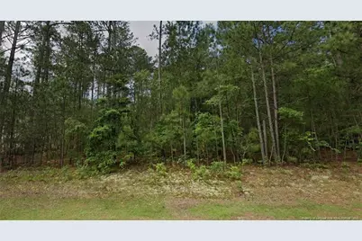 35 Peach Orchard Road, Wagram, NC 28396 - Photo 1