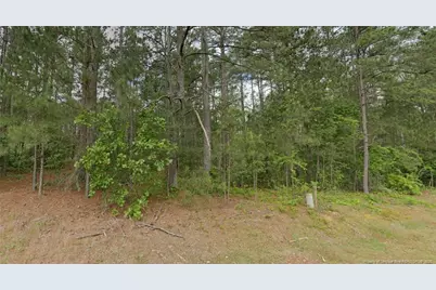 37 Peach Orchard Road, Wagram, NC 28396 - Photo 1