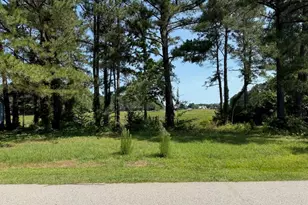 1159 Greenbriar Dr, Vass, NC 28394 - Photo 1