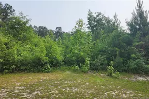 398 Dogwood Trail, Lumber Bridge, NC 28371 - Photo 1