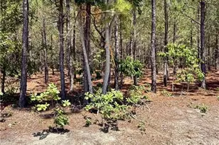 Tbd 2 North Turnpike Rd, Wagram, NC 28396 - Photo 1