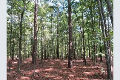 0 Rocky Fork Church Road, Sanford, NC 27332 - Photo 1