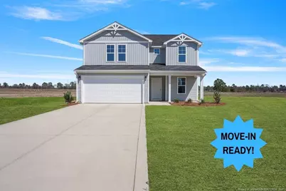 146 Buggy Top (Lot 25) Lane, Autryville, NC 28318 - Photo 1