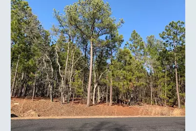 1124 Chicken Plant Road, Aberdeen, NC 28315 - Photo 1