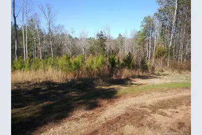 Tbd Hemp Street, Robbins, NC 27325 - Photo 1