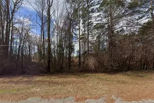 0 S Wilkinson Dr, Saint Pauls, NC 28384 - Photo 1