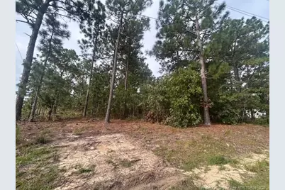 1218 & 1233 Loop Road, Raeford, NC 28376 - Photo 1