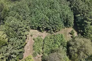 1334 Rice Rd, Lumberton, NC 28358 - Photo 1