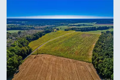 Lot 3 Daniel McLeod Road, Red Springs, NC 28377 - Photo 1