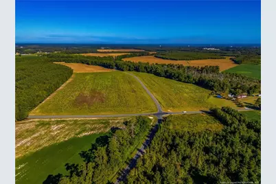 Lot 20 Daniel McLeod Road, Red Springs, NC 28377 - Photo 1