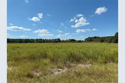 Lot 3 Collier Road, Wade, NC 28395 - Photo 1
