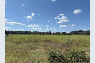 Lot 4 Collier Road, Wade, NC 28395 - Photo 1