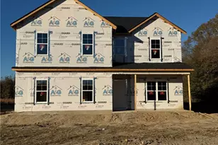 4087 Blue Springs Rd, Red Springs, NC 28377 - Photo 1