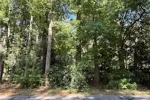 Tbd Bethesda Rd, Southern Pines, NC 28387 - Photo 1