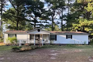 21981 McIntosh Rd, Wagram, NC 28396 - Photo 1