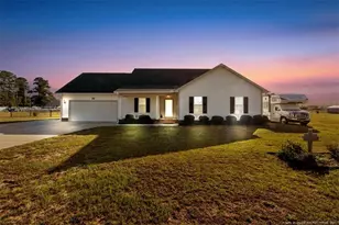 424 Delmore Rd, Autryville, NC 28318 - Photo 1