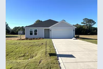 191 Buggy Top Lane, Autryville, NC 28377 - Photo 1