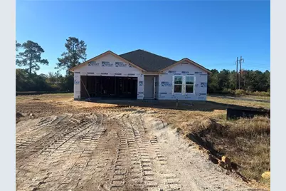 265 Buggy Top Lane, Autryville, NC 28318 - Photo 1